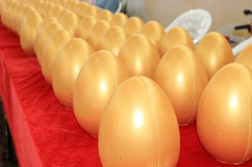 現(xiàn)代日用百貨城全新亮相，浙江食品市場再添消費(fèi)新地標(biāo)